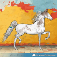 Horse Color:Silver Black Splash Tobiano Appaloosa 