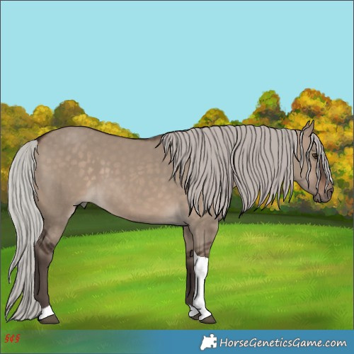 Horse Color:Silver Brown Dun Tobiano