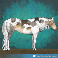 Horse Color:Silver Buckskin Merle Tobiano 