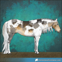 Horse Color:Silver Buckskin Merle Tobiano