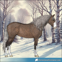 Horse Color:Silver Brown Dun 