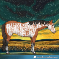 Horse Color:Bay and Bay Frame