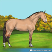 Horse Color:Bay Dun