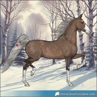 Horse Color:Silver Brown Dun 