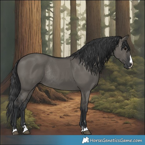 Horse Color:Grullo Rabicano 