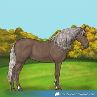 Horse Color:Silver Black 