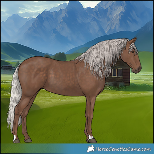 Horse Color:Silver Black