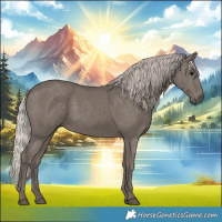 Horse Color:Silver Black 