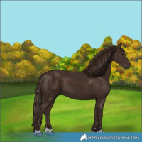 Horse Color:Liver Chestnut 