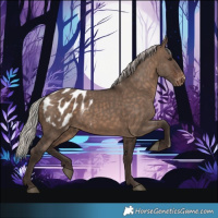 Horse Color:Silver Brown Dun Appaloosa 