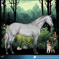 Horse Color:Silver Brown Chinchilla Dun 