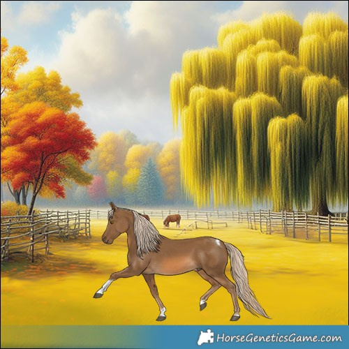 Horse Color:Chocolate Palomino Tobiano