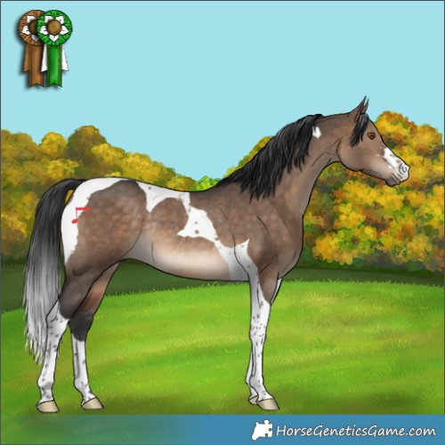 Horse Color:Brown Dun Tobiano Rabicano 