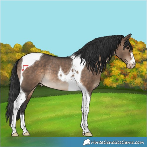 Horse Color:Brown Dun Tobiano Varnish Rabicano 