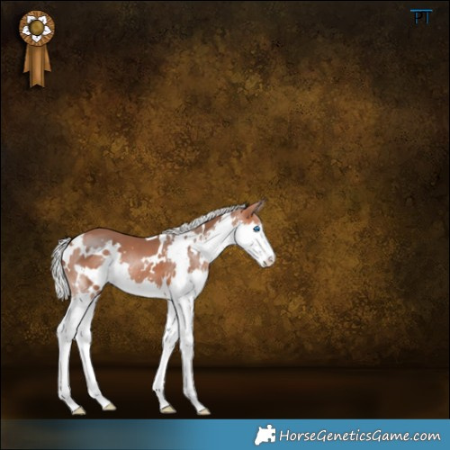 Horse Color:White Spotted Silver Bay Splash 