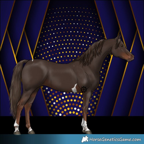 Horse Color:Liver Chestnut Tobiano 