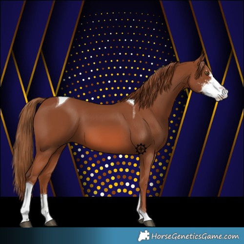 Horse Color:Chestnut Sabino Tobiano