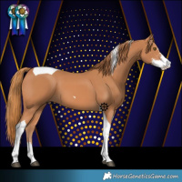 Horse Color:Chestnut Sabino Tobiano 