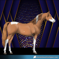 Horse Color:Chestnut Sabino Tobiano 