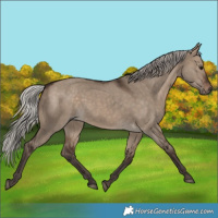 Horse Color:Silver Brown Dun 