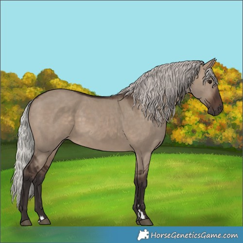 Horse Color:Silver Brown Dun