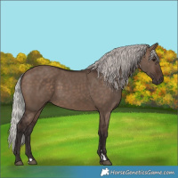 Horse Color:Silver Brown Dun 