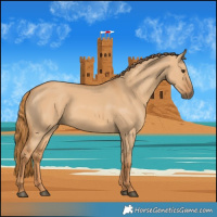 Horse Color:Red Dun 