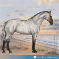 Horse Color:Silver Brown Roan Dun
