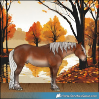 Horse Color:Silver Bay Tobiano Rabicano 