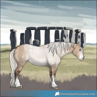 Horse Color:Powder White Silver Bay Dun Sabino Rabicano 