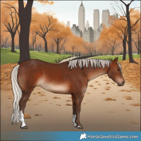 Horse Color:White Spotted Silver Brown Tobiano Rabicano