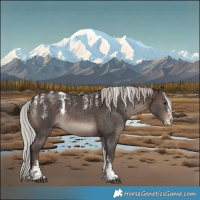 Horse Color:Powder White Silver Brown Sabino
