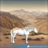 Horse Color:White Spotted Silver Buckskin Splash Frame 