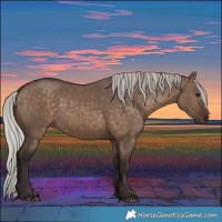 Horse Color:Silver Brown Dun 