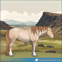 Horse Color:Buckskin Pearl Sabino 