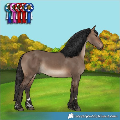 Horse Color:Brown Dun Rabicano 