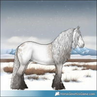 Horse Color:Gray Silver Smoky Grullo Blanket 