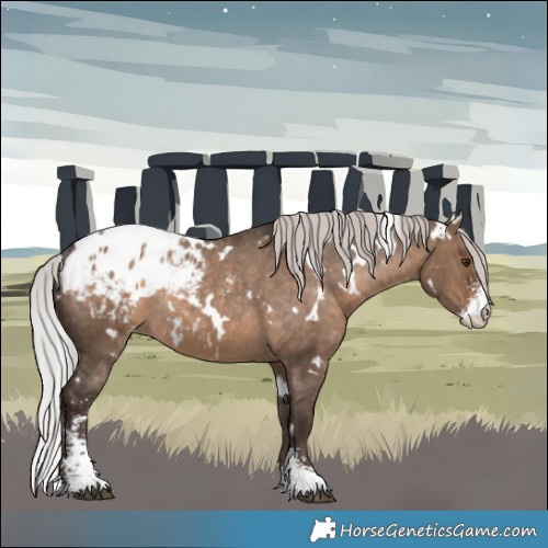 Horse Color:White Spotted Silver Brown Dun Sabino Blanket Rabicano 