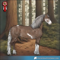 Horse Color:Silver Brown Dun Sabino Tobiano