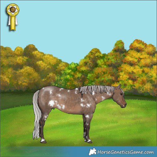 Horse Color:White Spotted Silver Brown Dun 