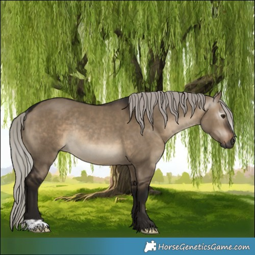 Horse Color:Gray Silver Brown Dun Rabicano 