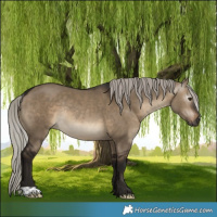 Horse Color:Gray Silver Brown Dun Rabicano 