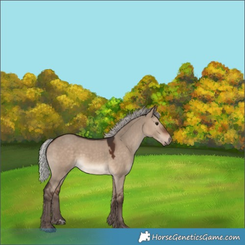 Horse Color:Silver Brown Dun Rabicano 
