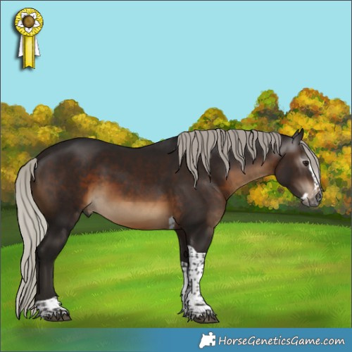 Horse Color:Gray Silver Brown Splash Tobiano 