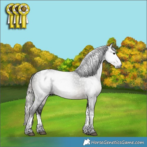 Horse Color:Gray White Spotted Silver Smoky Black Tobiano 