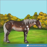 Horse Color:White Spotted Silver Brown 