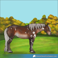 Horse Color:White Spotted Silver Brown