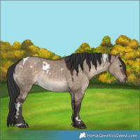 Horse Color:White Spotted Brown Dun 