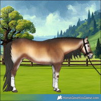 Horse Color:Gray Liver Red Onyx 