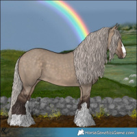 Horse Color:Silver Brown Dun 